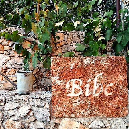 Bibc Wine & Holiday Trieste Exterior foto